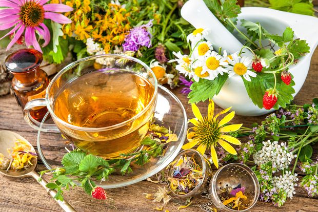 Best Herbal Remedies for Cosmetic and Medical purposes 