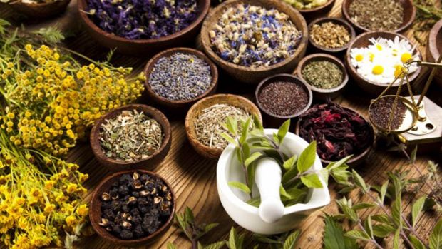 Best Herbal Remedies for Cosmetic and Medical purposes 