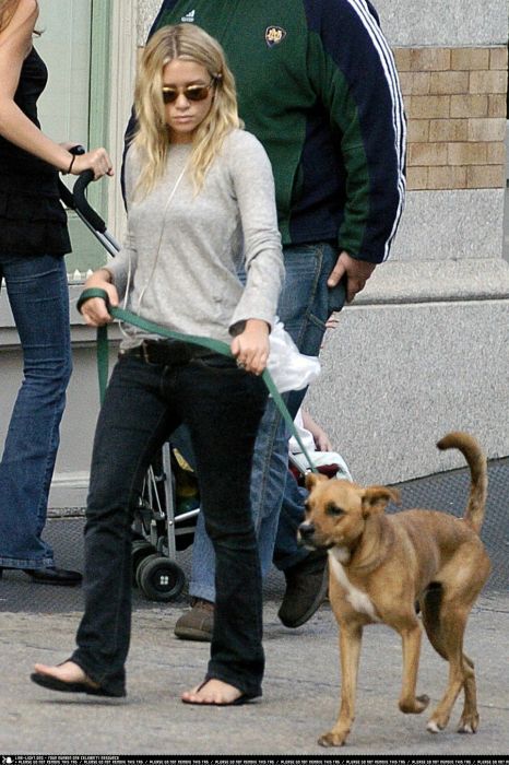 Celebrities and their Dogs