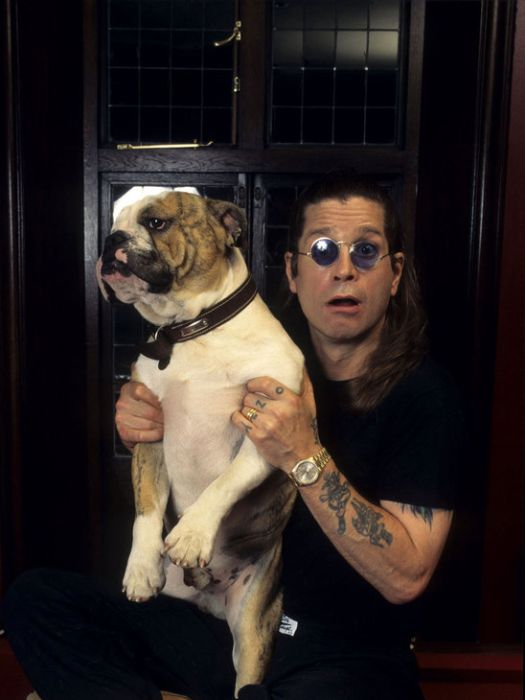 Celebrities and their Dogs
